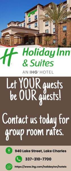 Holiday Inn 250x600